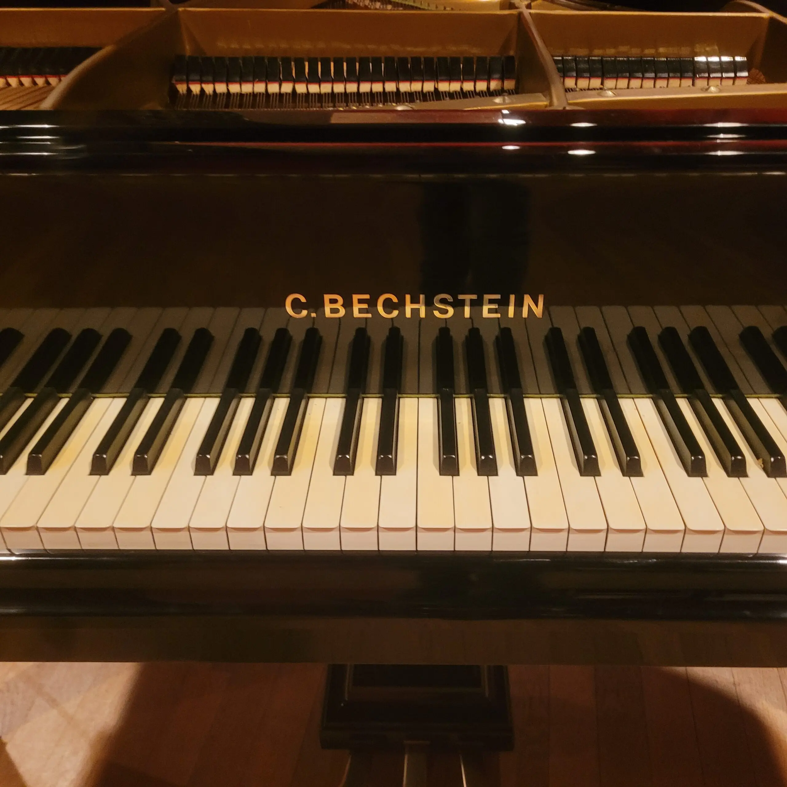 De C.Bechstein B 203 kopen