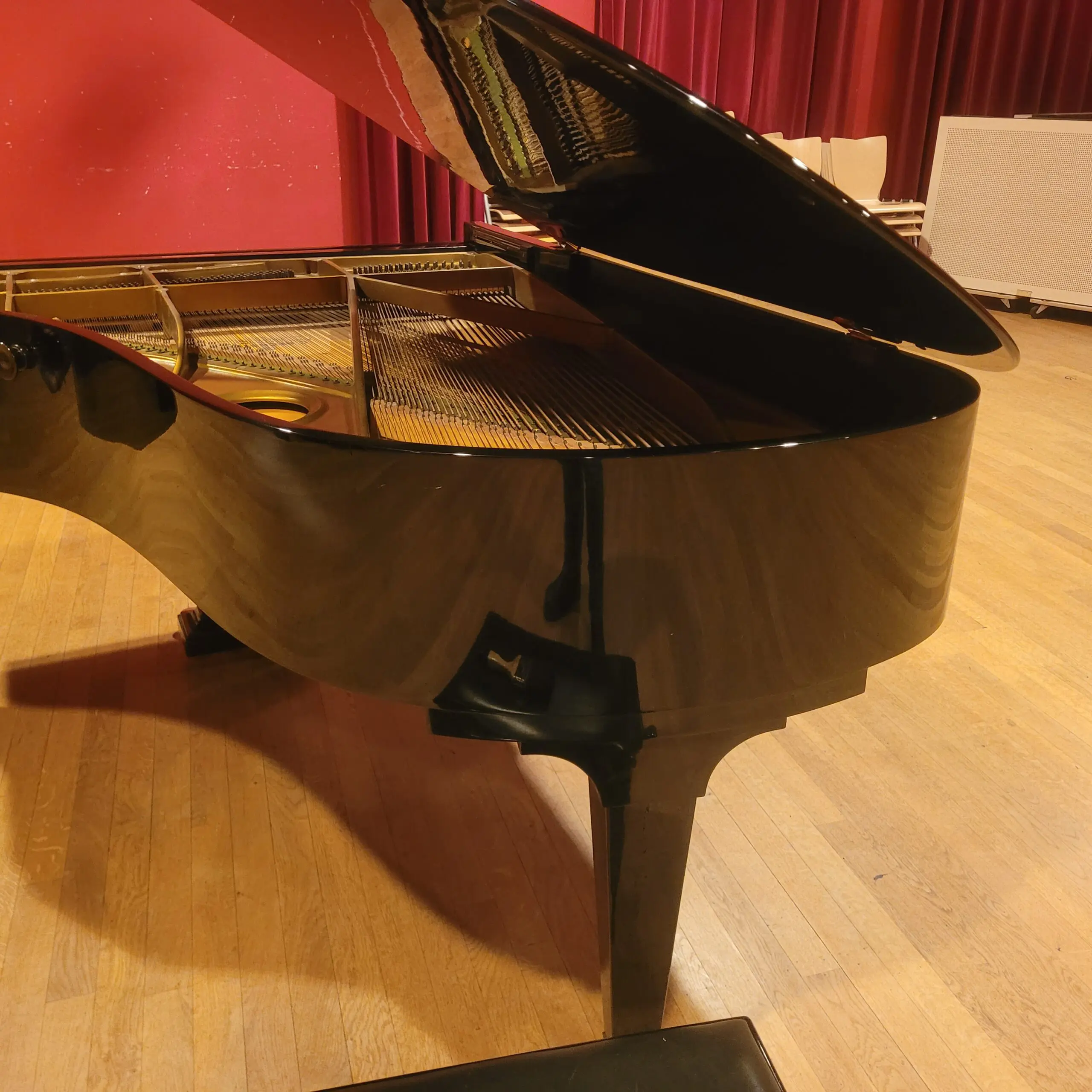 Achterkan C.Bechstein B203