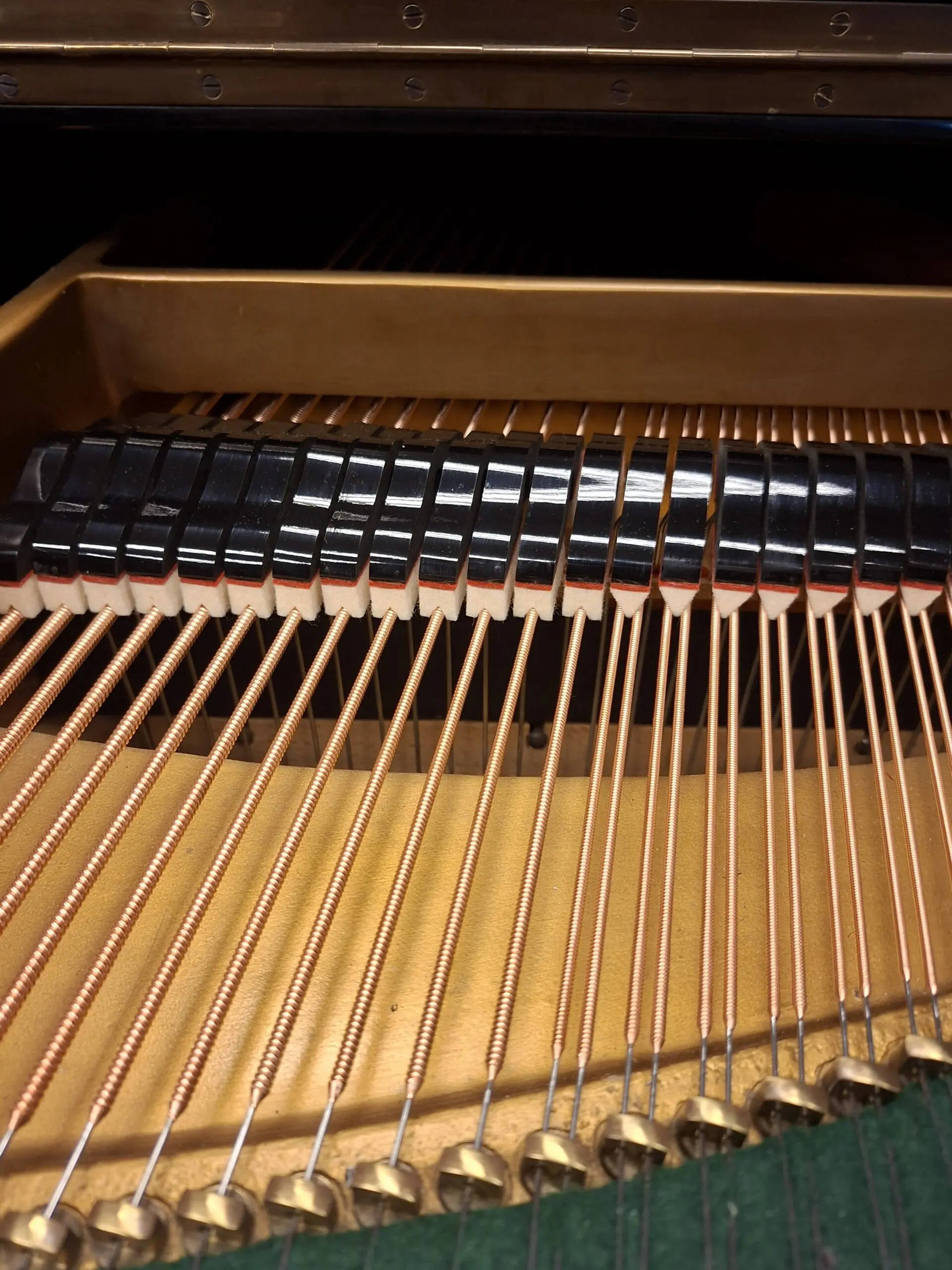 Nieuwe snaren C.Bechstein