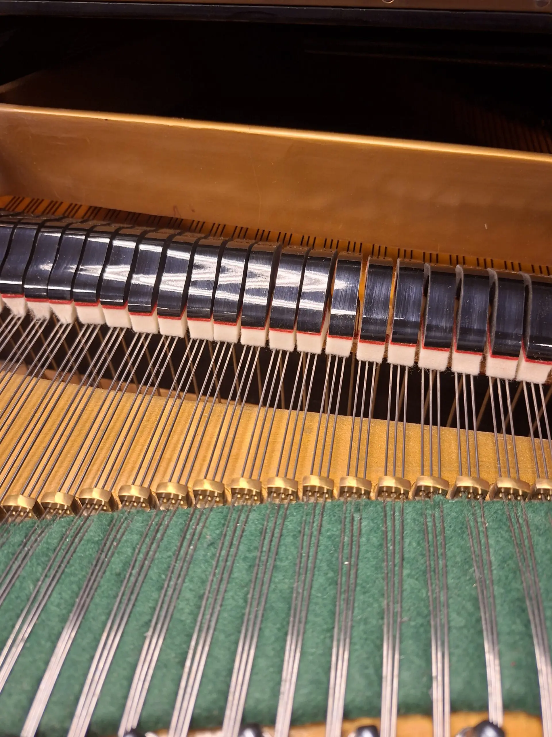 C.Bechstein te koop model B203