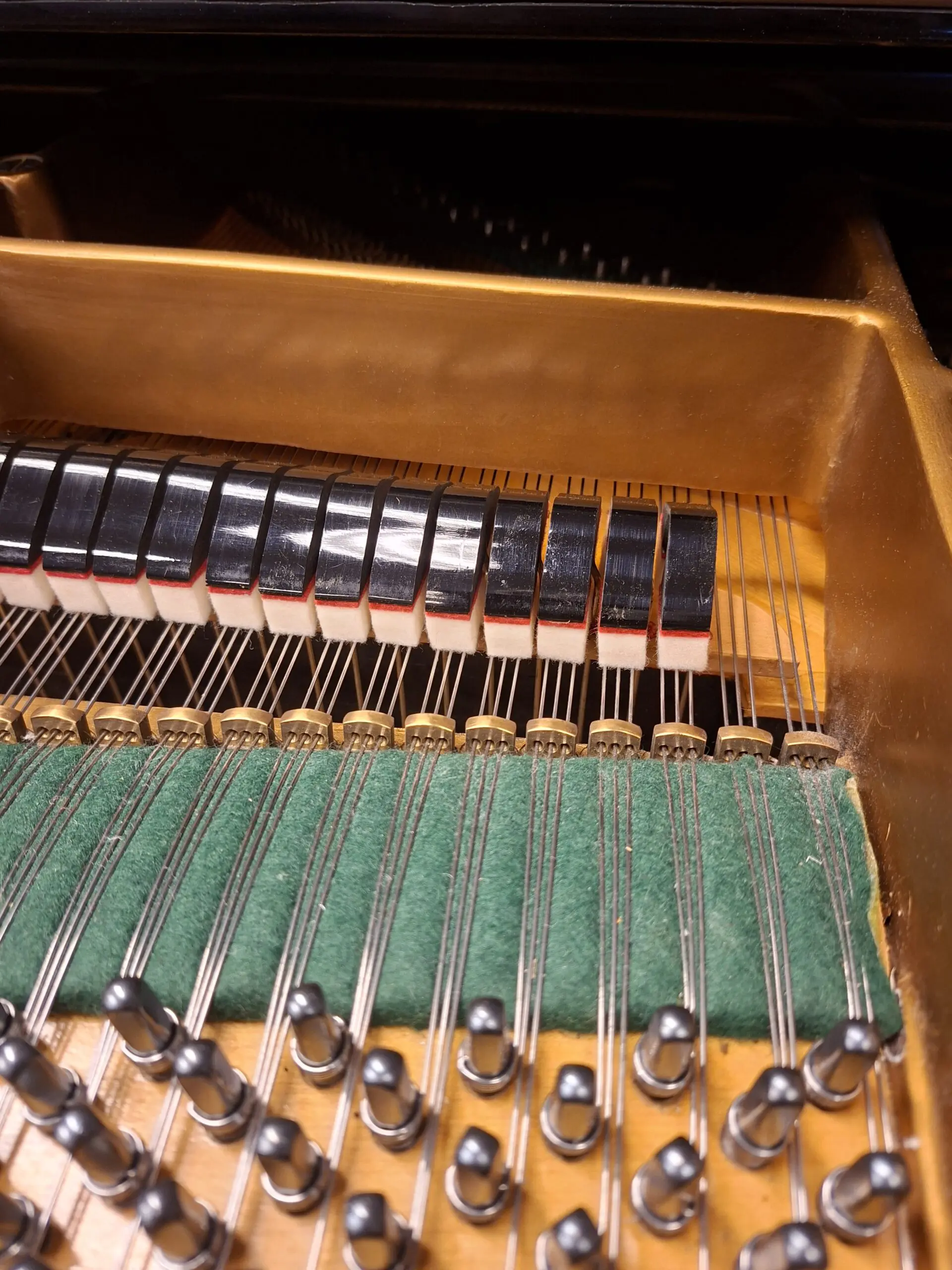 Achterkan C.Bechstein B203