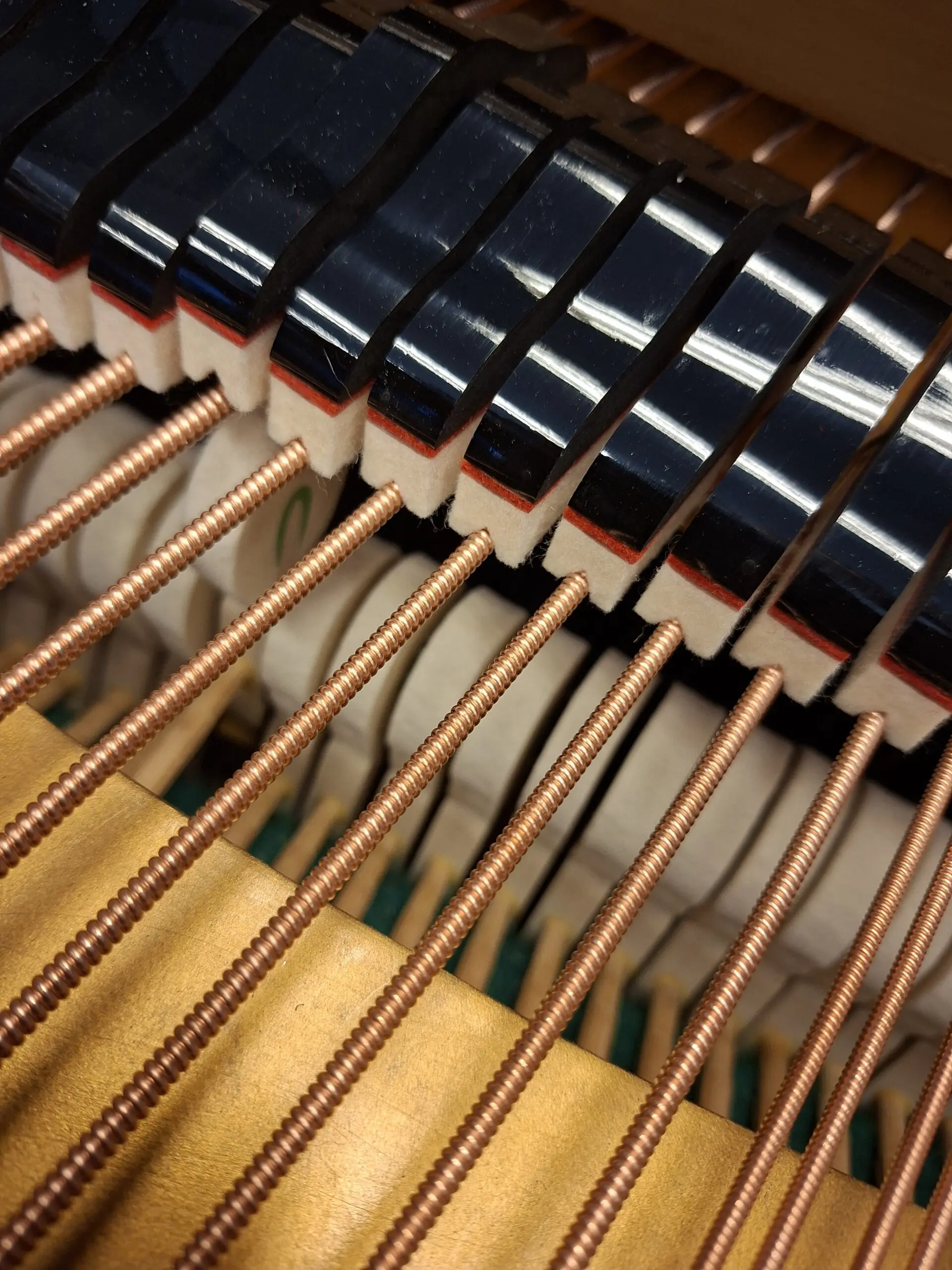 Bechstein vleugel model B 203